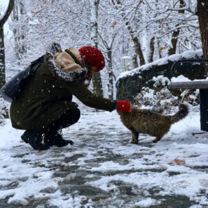 Ciotka Kotka Petsitter - Kobieta głaszcząca bezpańskiego kota zimą